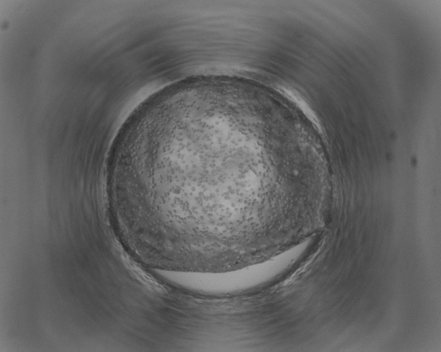 X0000067860976200604271706