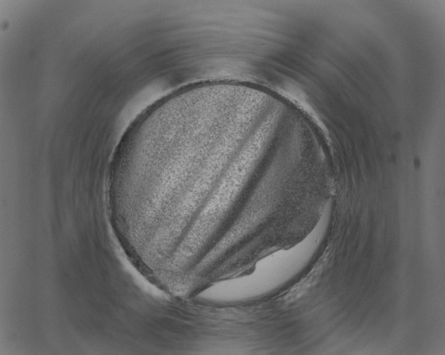 X0000067860991200604271706
