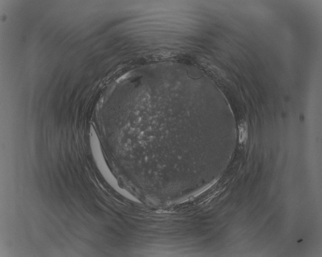 X0000067861011200604271705