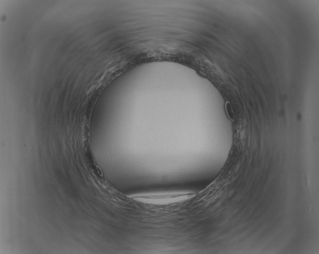X0000067861012200604271705