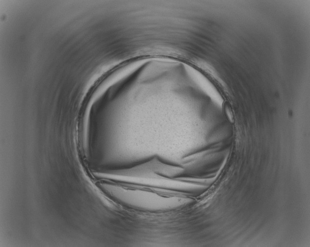 X0000067861040200604271705