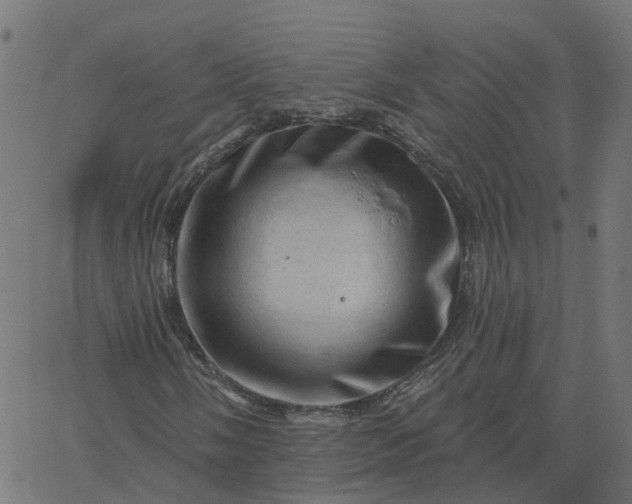 X0000067861058200604271705