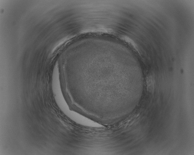 X0000067861064200604271704