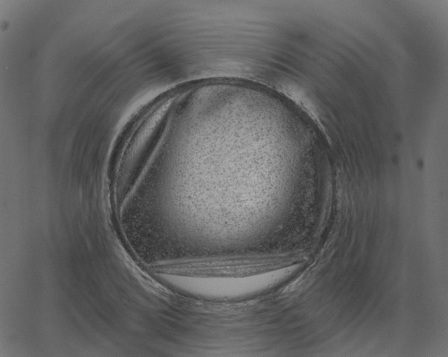 X0000067861072200604271704