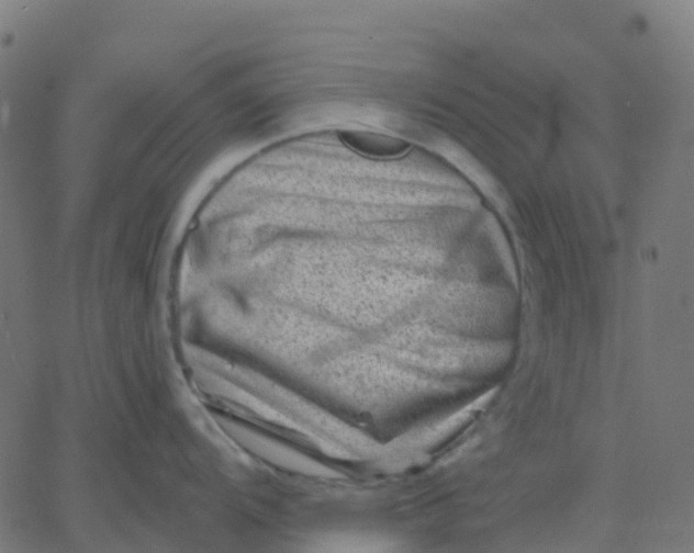 X0000067861104200604271704