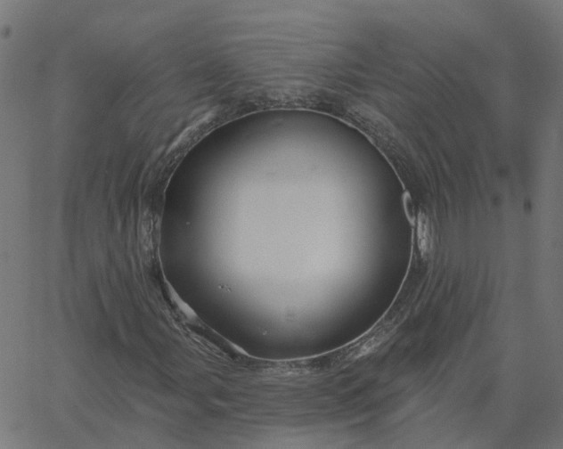 X0000067861107200604271703