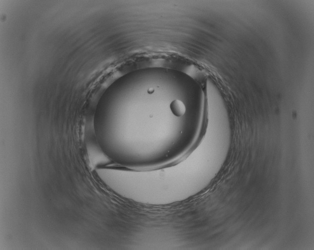 X0000067861110200604271703