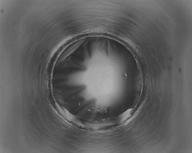 X0000067861118200604271703