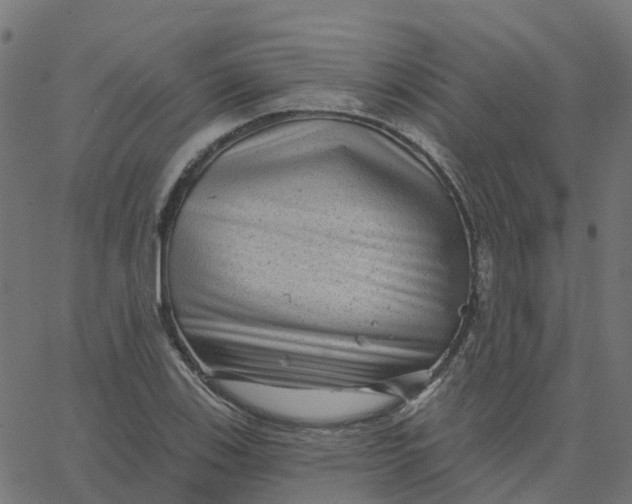X0000067861123200604271703