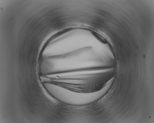 X0000067861136200604271703