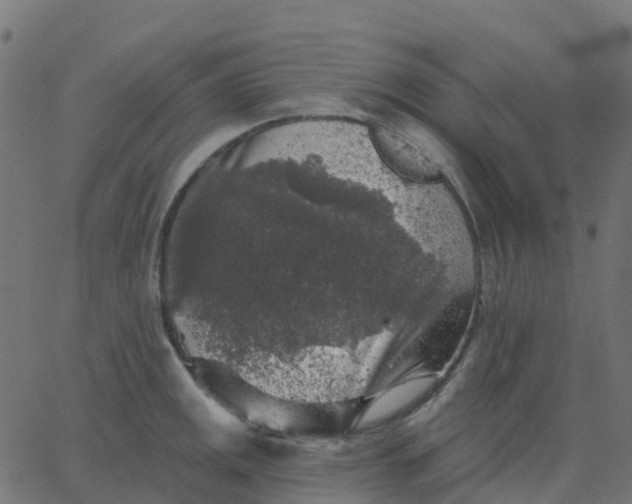X0000067861141200604271704