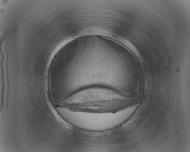 X0000067861144200604271704
