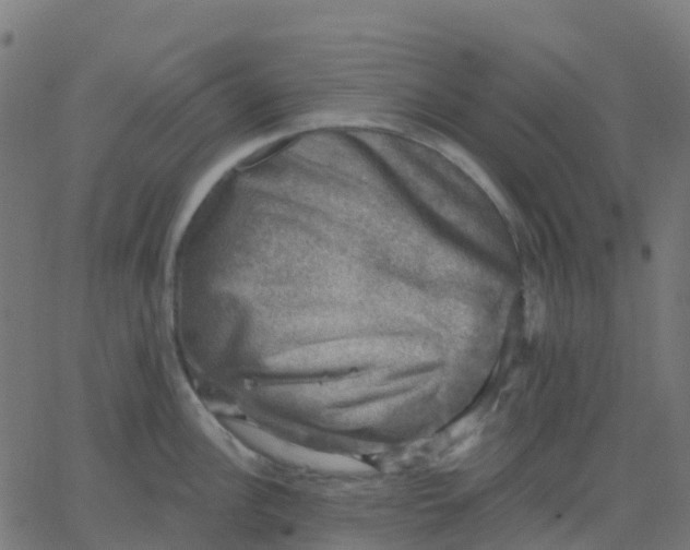 X0000067861148200604271704
