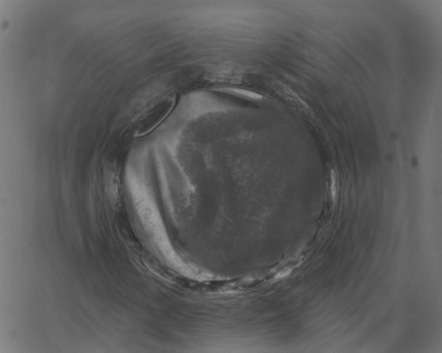 X0000067861154200604271703