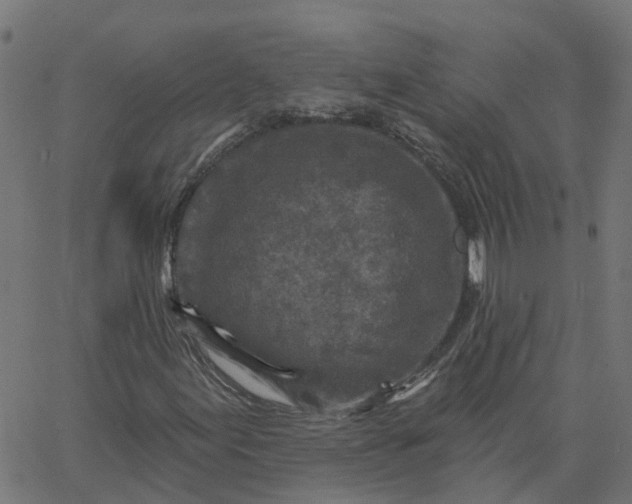 X0000067861155200604271703
