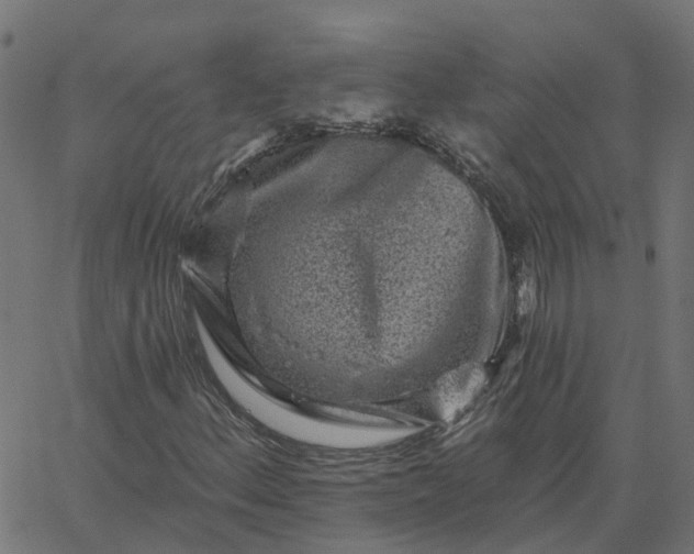 X0000067861156200604271703