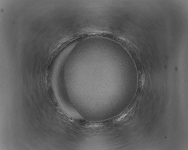 X0000067861157200604271703