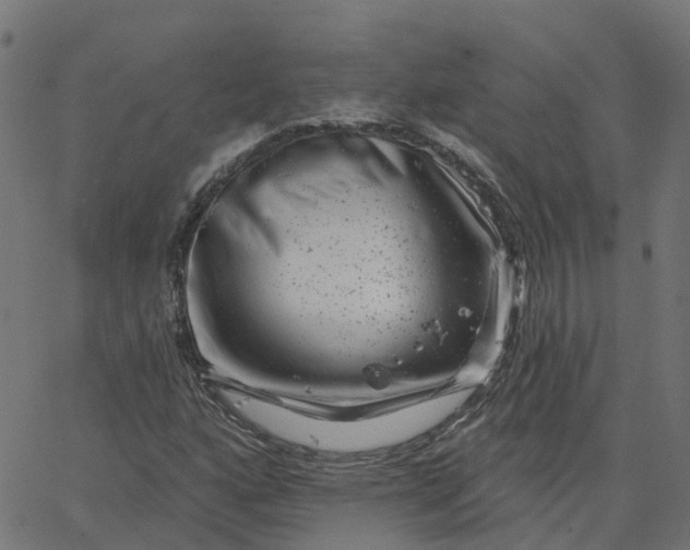 X0000067861160200604271703