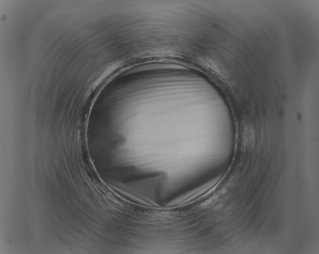 X0000067861162200604271703