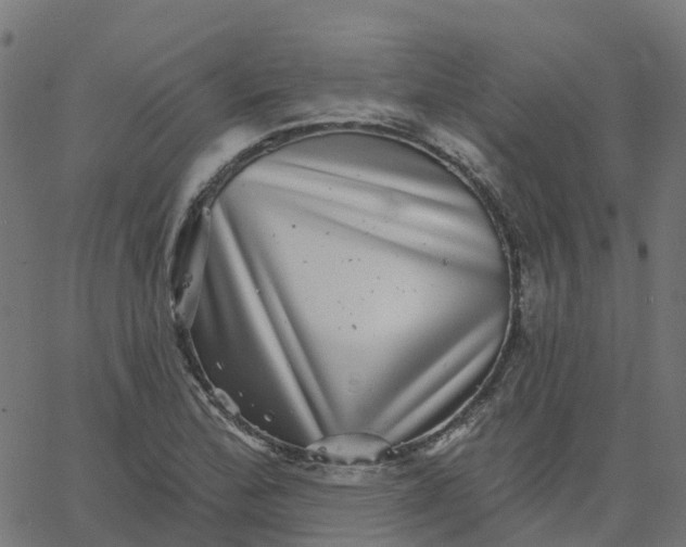 X0000067861172200604271703