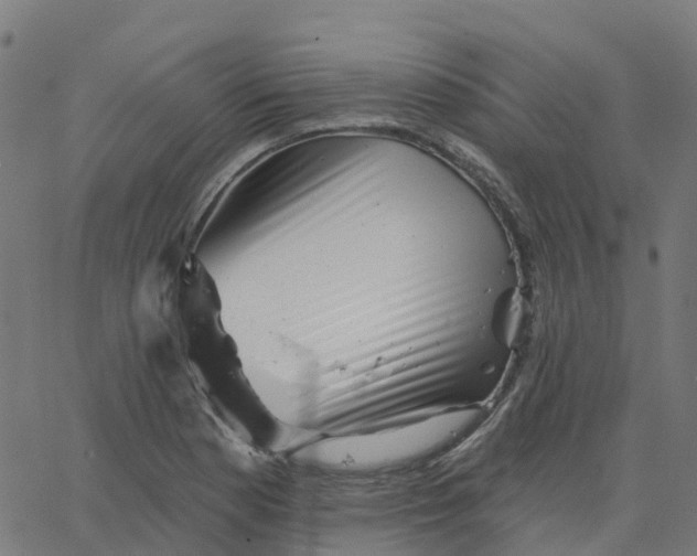 X0000067861177200604271703