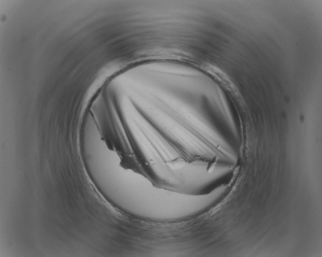X0000067861188200604271702