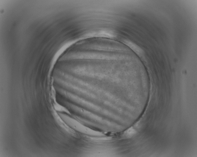 X0000067861200200604271702