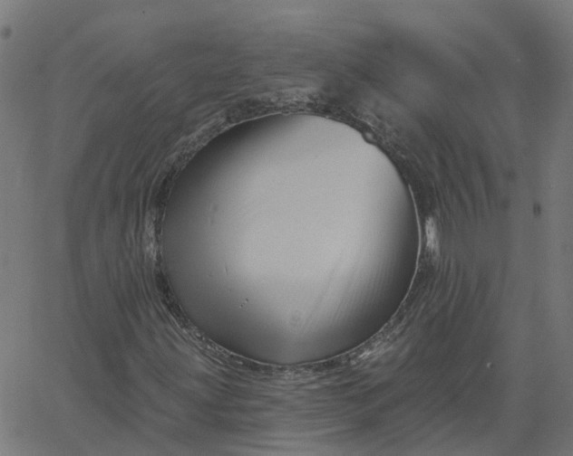 X0000067861203200604271701