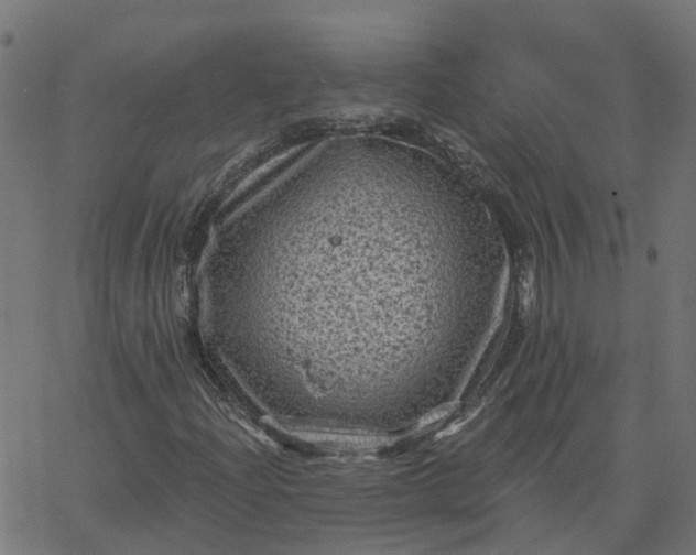 X0000067861204200604271701