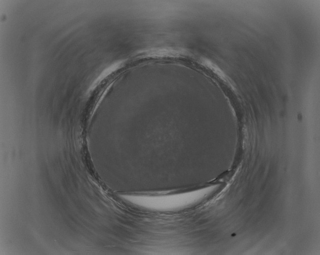 X0000067861213200604271702