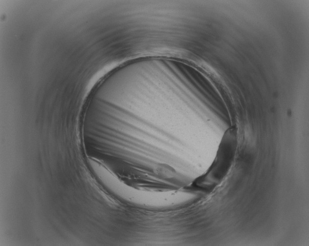 X0000067861230200604271702