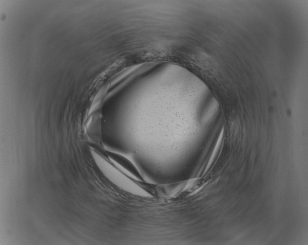 X0000067861250200604271701