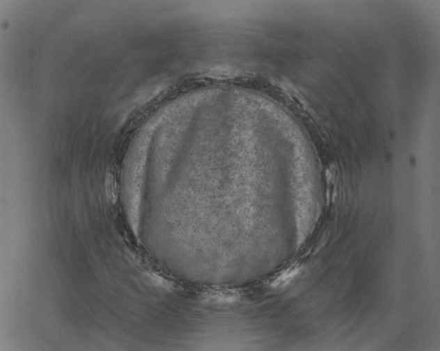 X0000067861253200604271701