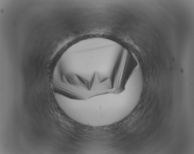 X0000067861256200604271701