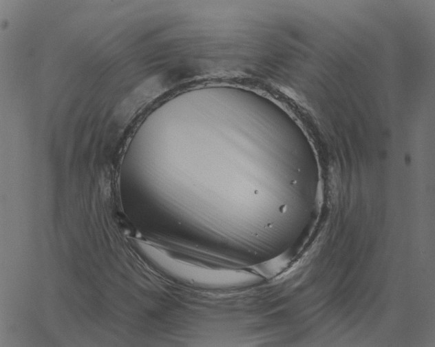 X0000067861257200604271701
