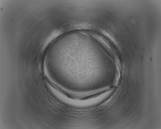 X0000067861261200604271701