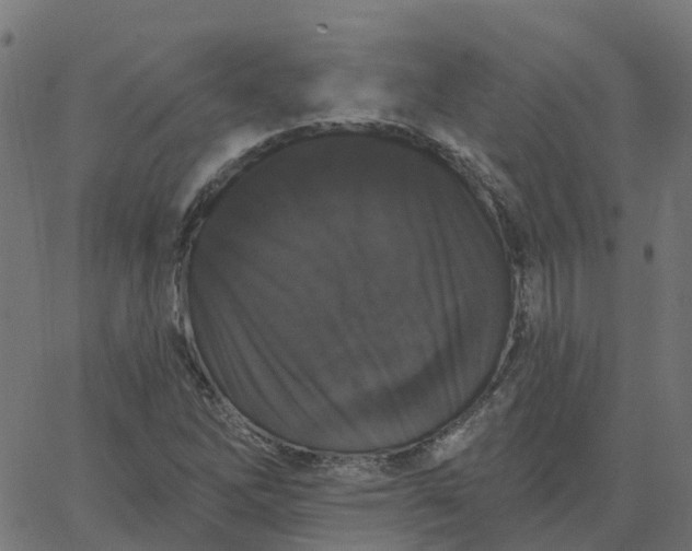 X0000067861262200604271701