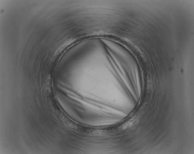 X0000067861265200604271701
