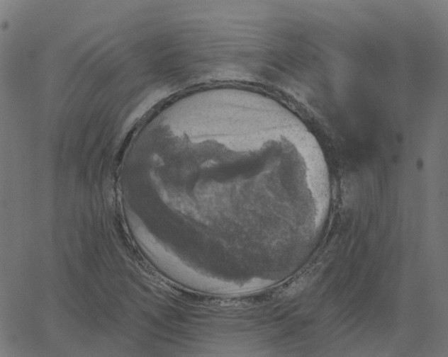X0000067861266200604271701