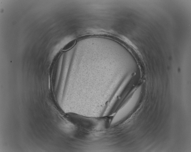 X0000067861269200604271701