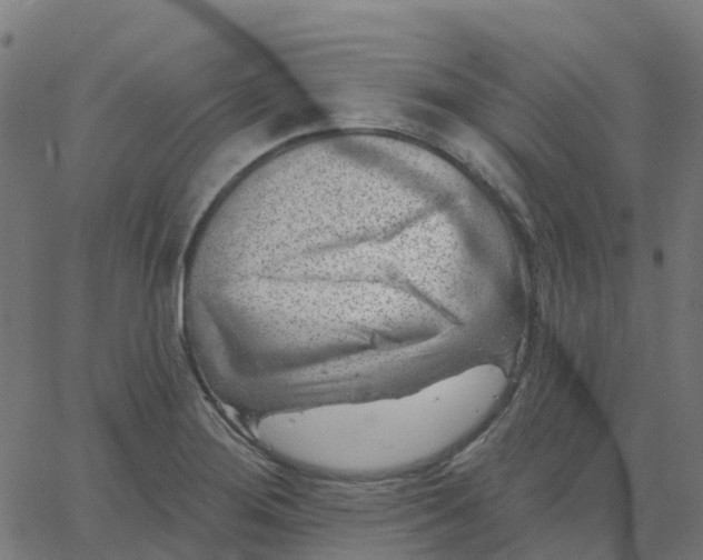 X0000067861276200604271701