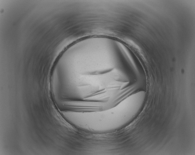 X0000067861280200604271701