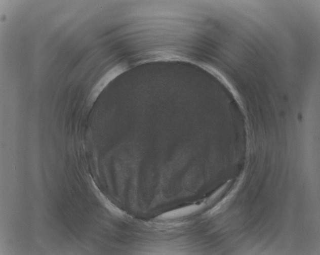 X0000067861289200604271701
