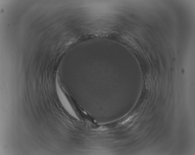 X0000067861298200604271700