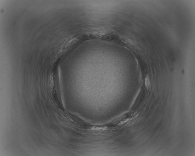 X0000067861299200604271700