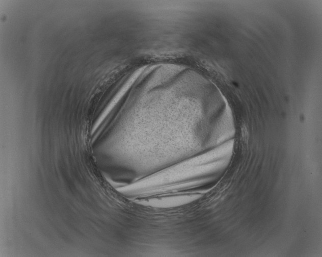 X0000067861300200604271700