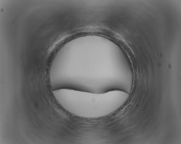 X0000067861304200604271700