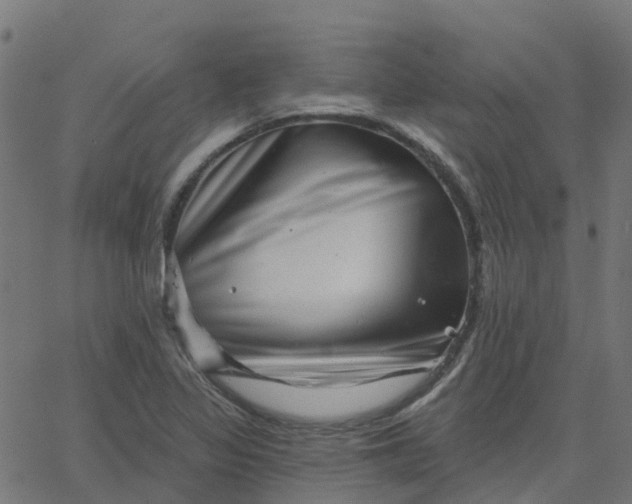X0000067861317200604271700