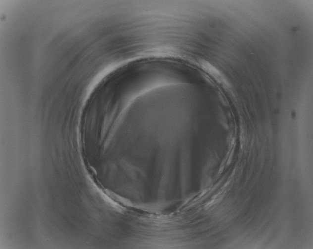 X0000067861334200604271700