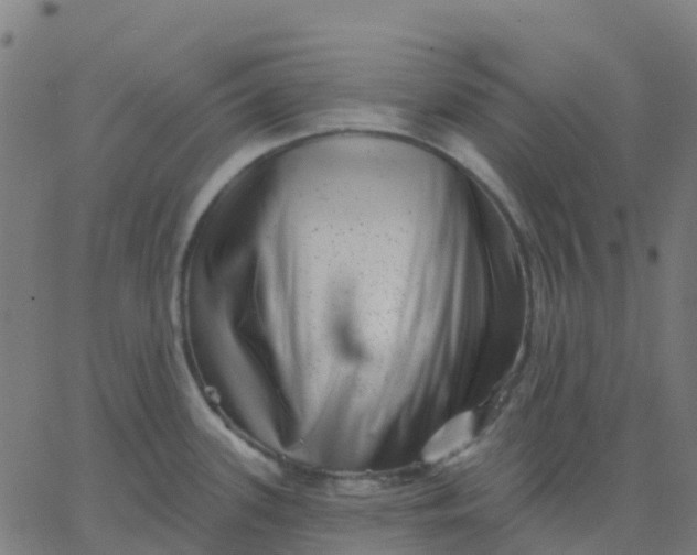 X0000067861339200604271701